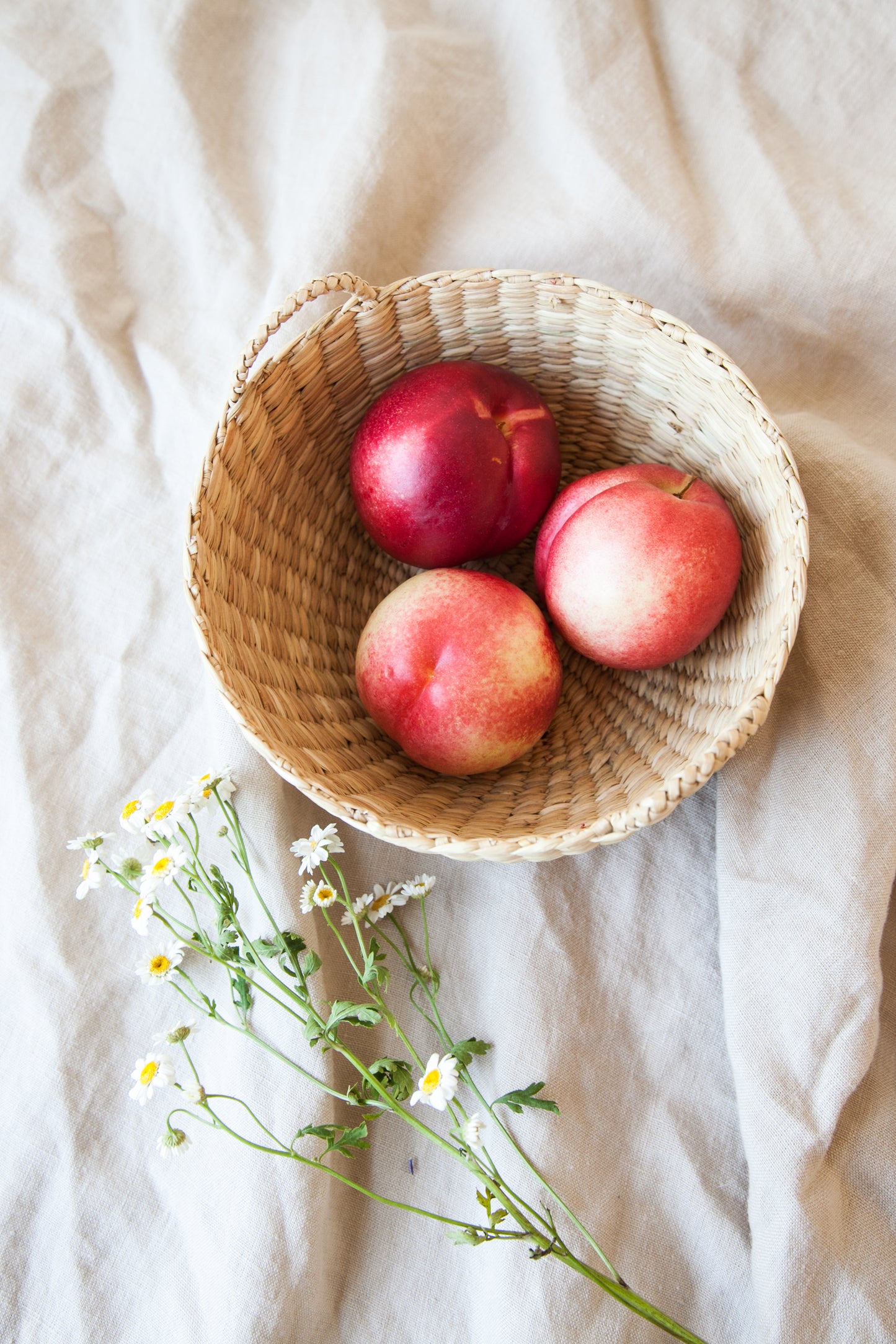 Giving Basket