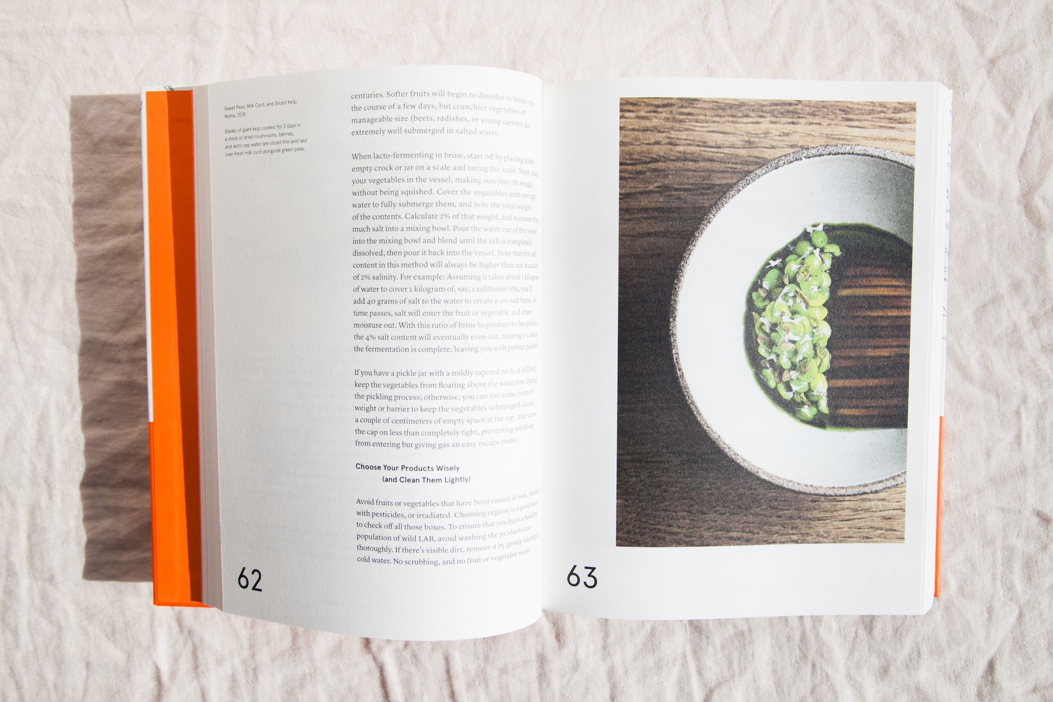 The Noma Guide to Fermentation Earthen