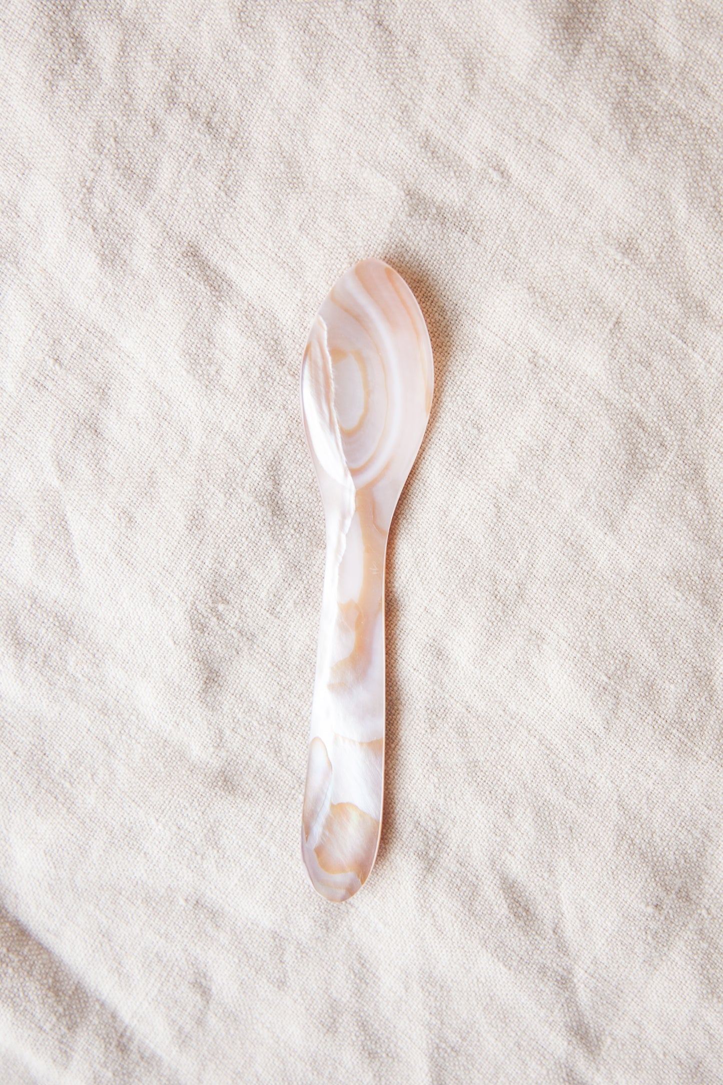 Seashell Dessert Spoon